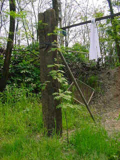 Dsc00081.jpg (64570 byte)