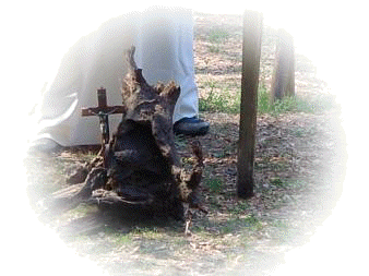 pirati4.JPG (13900 byte)