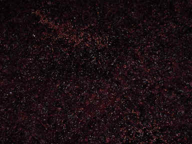 wpe9.jpg (15757 byte)